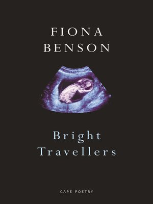 cover image of Bright Travellers